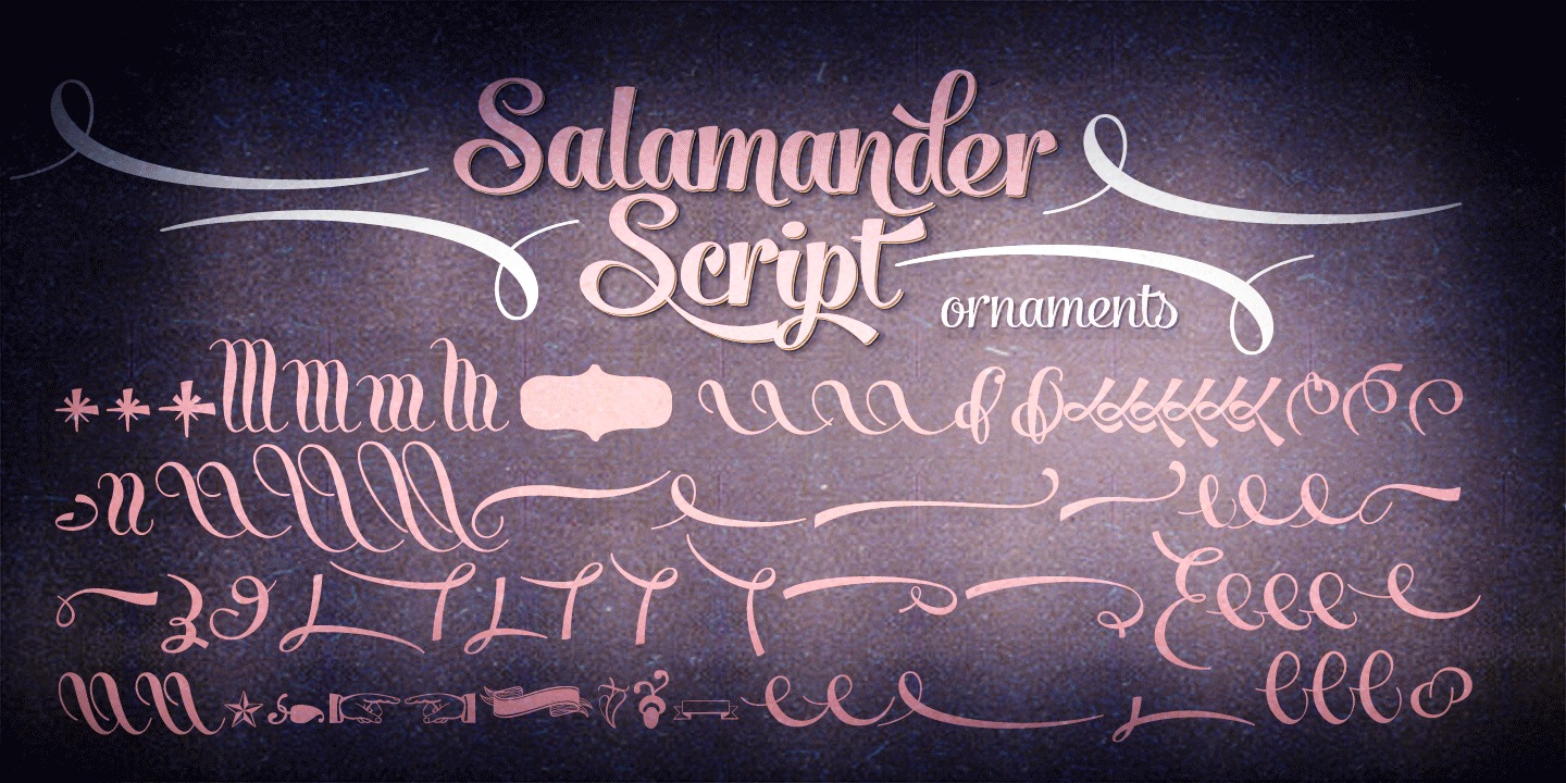 Przykładowa czcionka Salamander #3